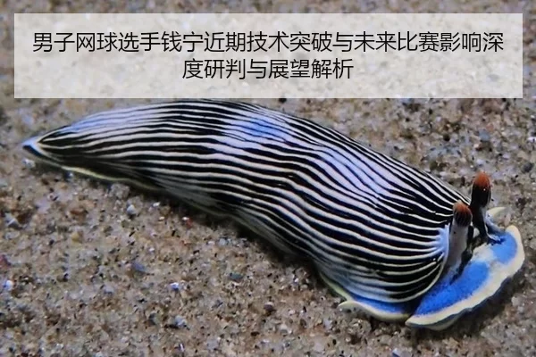 男子网球选手钱宁近期技术突破与未来比赛影响深度研判与展望解析