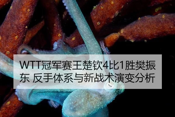 guan-jun-sai-wang-chu-qin-bi-sheng-fan-zhen-dong-fan-shou-ti-xi-yu-xin-zhan-shu-yan-bian-fen-xi-2-907.jpg