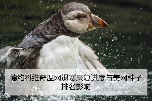 de-yue-ke-wei-qi-wen-wang-tui-sai-kang-fu-jin-du-yu-mei-wang-zhong-zi-pai-ming-ying-xiang-3-923.jpg
